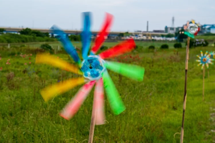 Example of Photos with 1/125 Shutter Speed