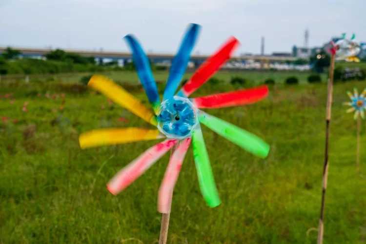 Example of Photos with 1/250 Shutter Speed