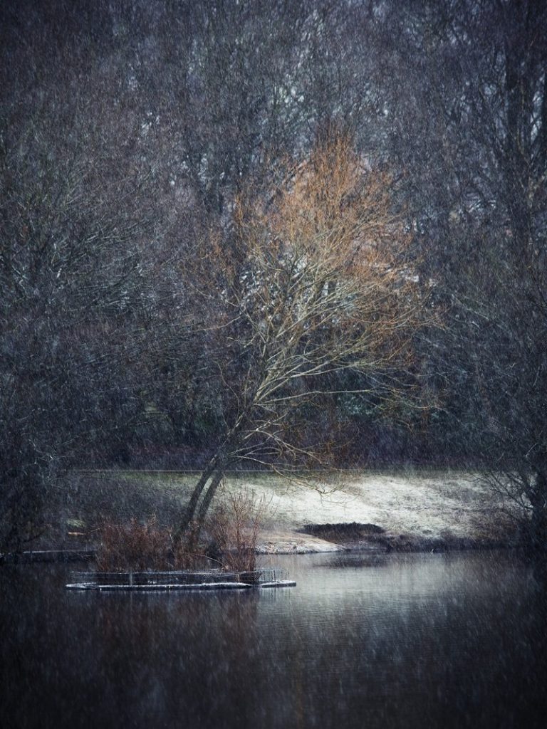 Vanguard Alta Pro 2+ Review