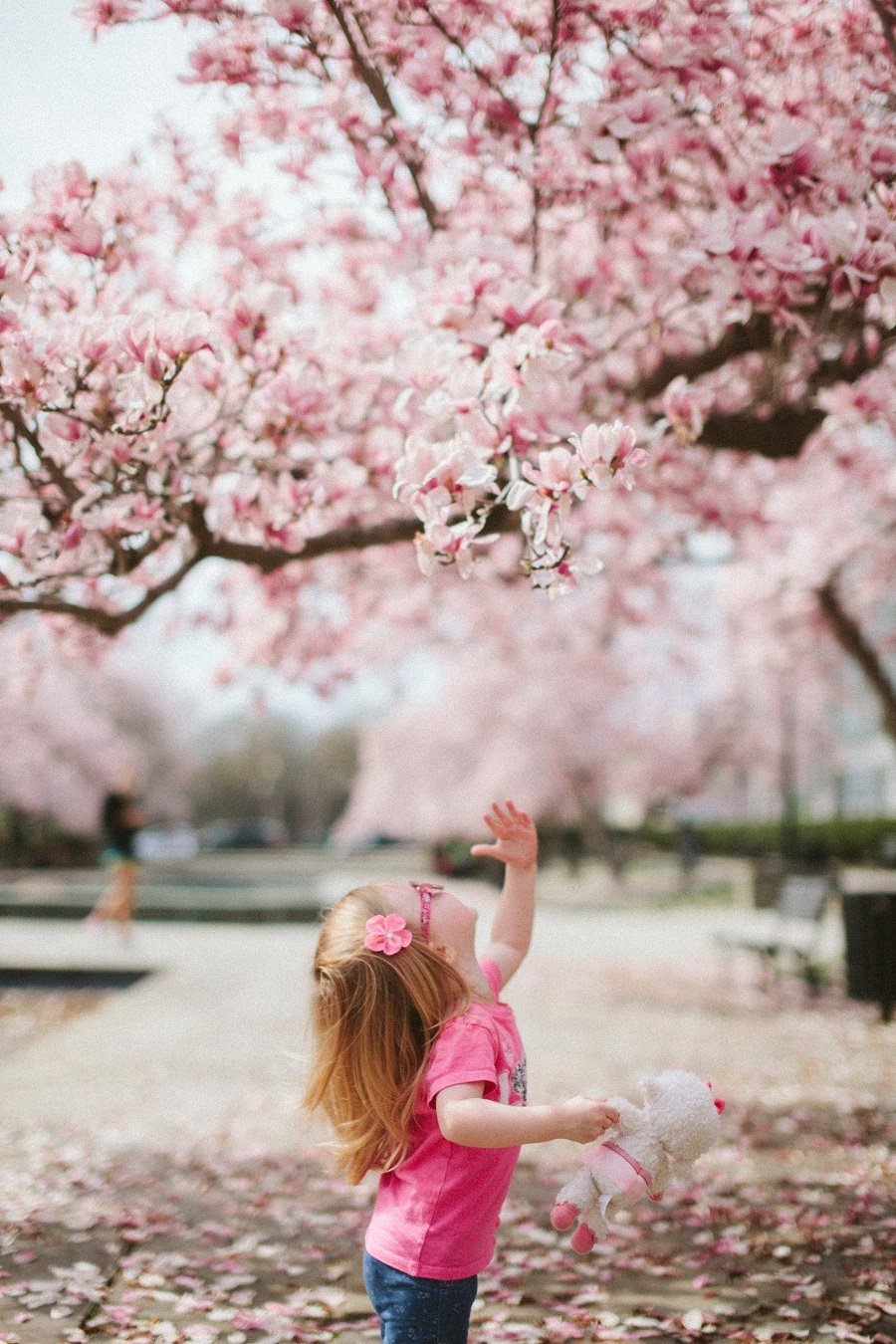 Spring Photogeaph Spring Photography Guide – Tips and Tricks — Click and Learn Photography