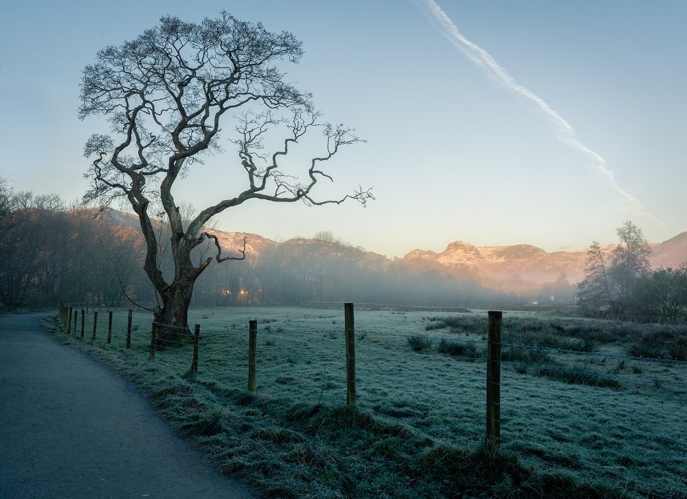 Breaking Photography Rules